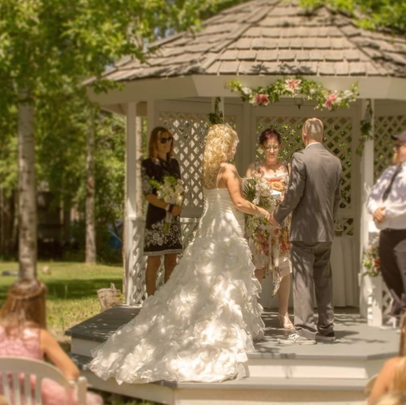 Wedding Dress - Picture 6 of 6